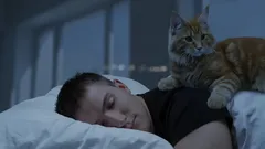 Weet jij wat jouw kat ’s nachts uitspookt als iedereen slaapt?