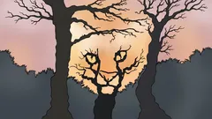 Wat zie jij op deze afbeelding? Een psychologische test die onthult hoe jij de wereld ervaart