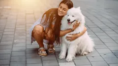 De meest aanhankelijke hondenrassen voor gezinnen met kinderen die echt van mensen houden