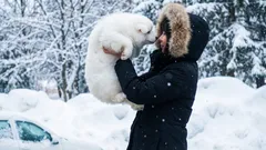 Kunnen dieren mensentaal begrijpen?