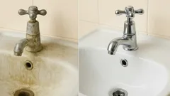 Budgetvriendelijke manieren om kalkaanslag en roest te verwijderen voor een stralende badkamer