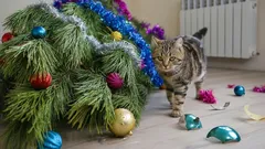 Hoe houd je katten uit de kerstboom met een simpele natuurlijke spray
