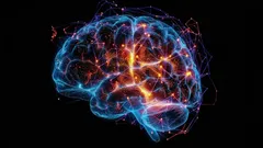 Wat is Alzheimer en waarom verdwijnt ons geheugen? Uitleg vanuit de wetenschap