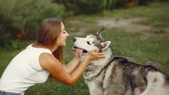 Hoe je met je hond praat zodat hij je echt begrijpt