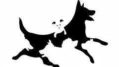 Het aantal honden dat jij op deze afbeelding ziet, onthult je psychologische leeftijd