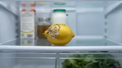 Hoe je citroenen tot 40 dagen vers houdt in de koelkast