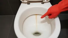 Iedereen kent deze gele streep, maar niet iedereen weet hoe makkelijk je ervan afkomt